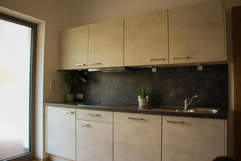 Küche mit Backofen und Geschirrspüler im Apartment